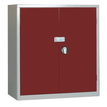 Steel Secure Cupboard 1000Hx915Wx457D EL3618SS with Hasp and Staple for Padlock